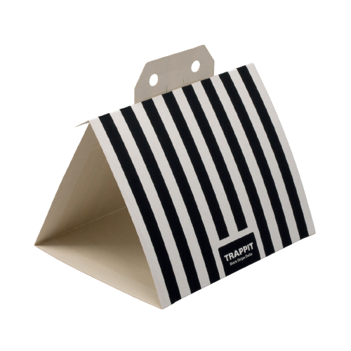 Black Stripe Delta 10 x 10pk