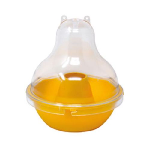 Wasp Dome