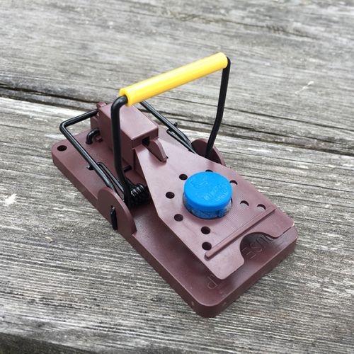 Gorilla Mouse Trap