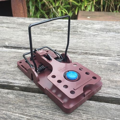 Gorilla Rat Trap