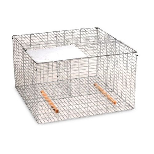Larsen Trap