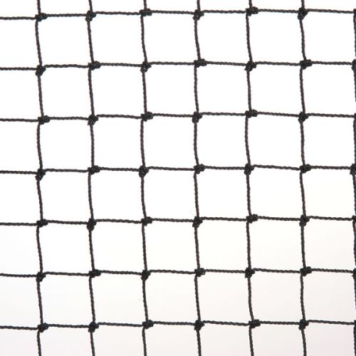 Sparrow Bird Net