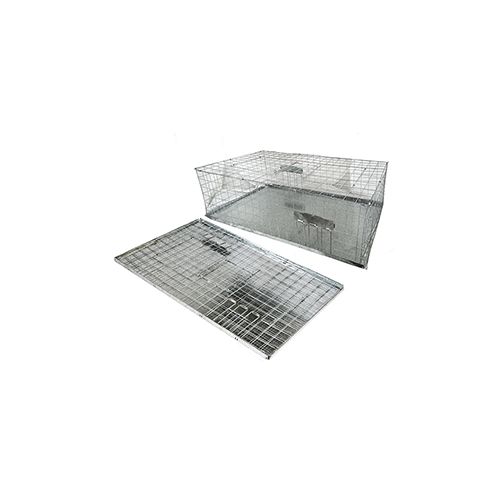 Fold Flat Pigeon Trap 