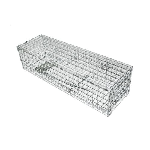 Squirrel Trap