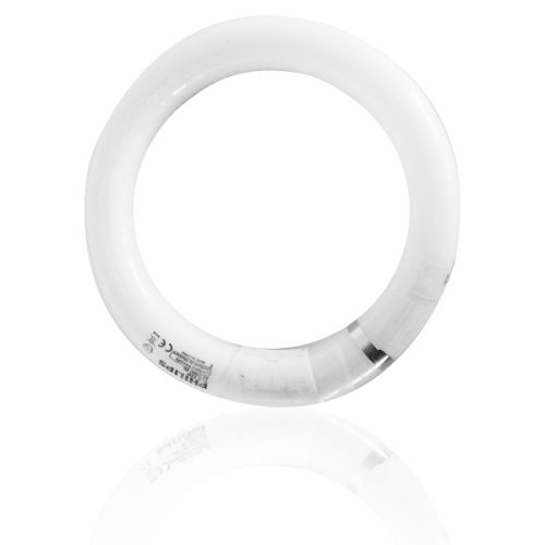 Philips 22w Circline - Shatterproof