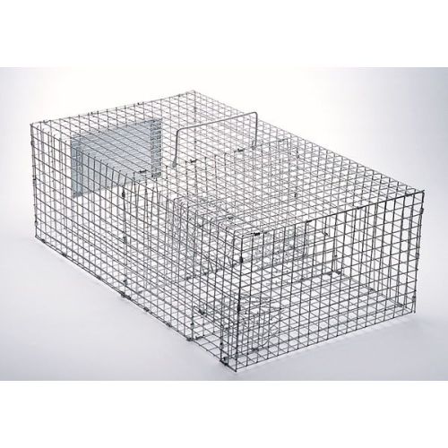 Sparrow Trap