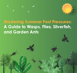 Mastering Summer Pest Pressures: A Guide to Wasps, Flies, Silverfish, and Garden Ants
