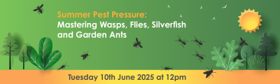 Mastering Summer Pest Pressures: A Guide to Wasps, Flies, Silverfish, and Garden Ants